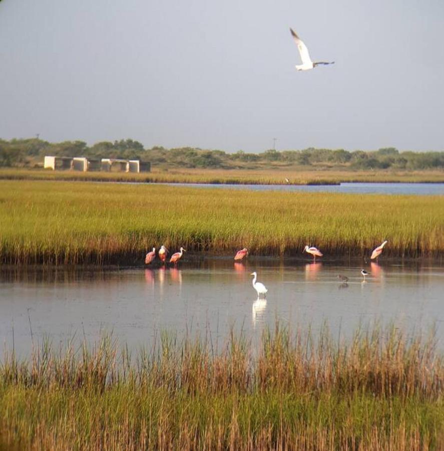 Las Casitas On Magnolia Beach - Casita A Port Lavaca Dış mekan fotoğraf